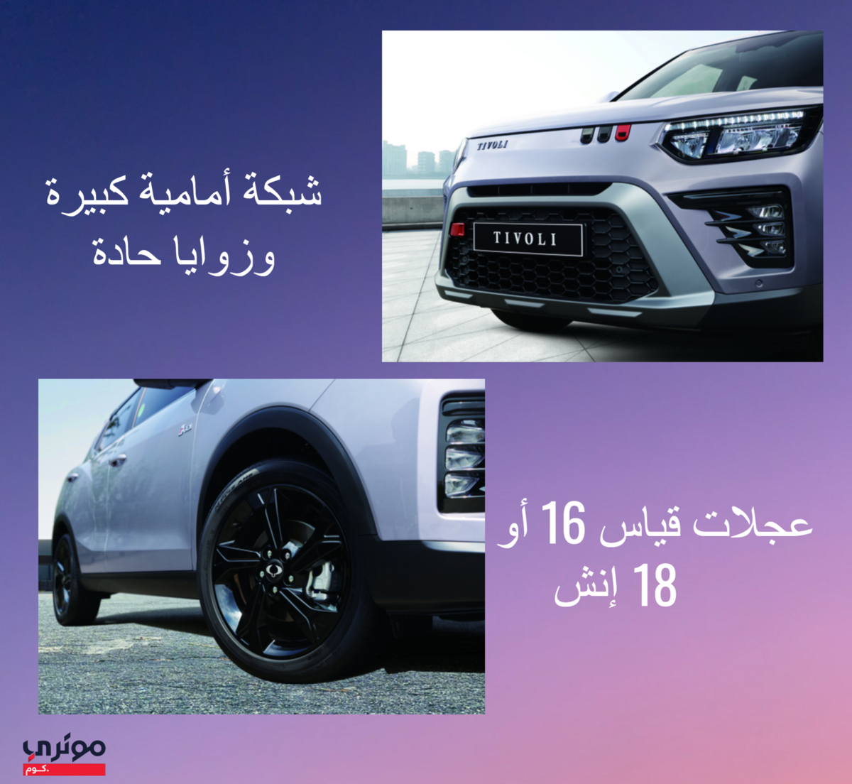سانج-يونج-تيفولي-2024